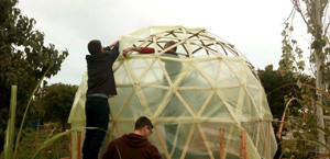 Rescued Blinds Geodesic Greenhouse